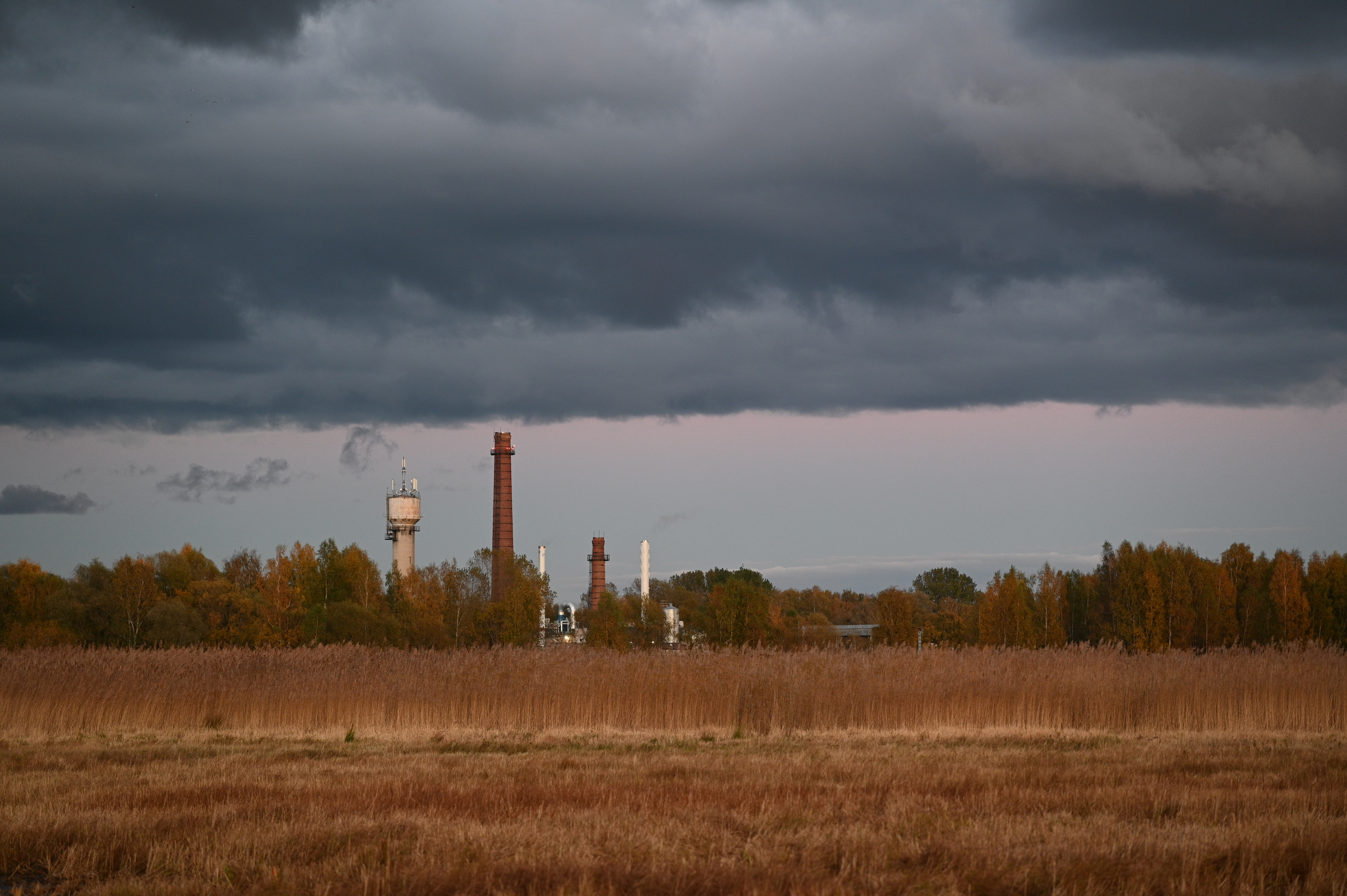 2025/10/18 - walk/DSC_0564.JPG